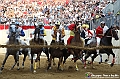 VBS_1246 - Palio di Asti 2024
